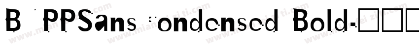 BNPPSansCondensed Bold字体转换
